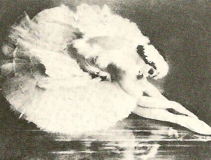 Ballet, Its Origins and History