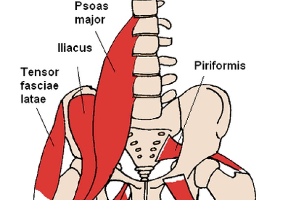 psoas