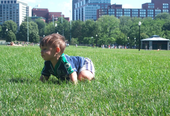 crawl