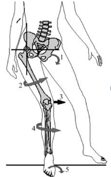 Pronating the feet can lead to problems in the hips, spine, and knees