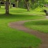 IMAGE A winding path cuts through a grassy park IMAGE