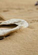 Image_shoebeach_Image