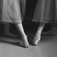 Pointe tendu - slipper and shoe