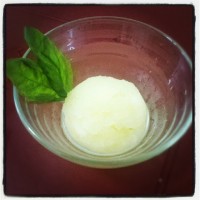 Homemade sorbet