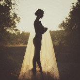 Silhouette of a dancer in a forest setting.