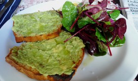 Avocado on toast with salad greens on the side. [photo by Ewan Munro]