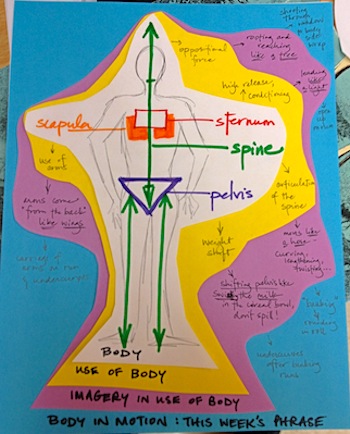 Concept Map Body